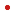 Medical Transcription